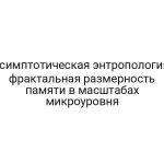 Асимптотическая энтропология: фрактальная размерность памяти в масштабах микроуровня